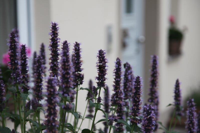 Do|Mi|s Garten: Unsere Terrassenverkleidung & Farbe, Farbe, Farbe