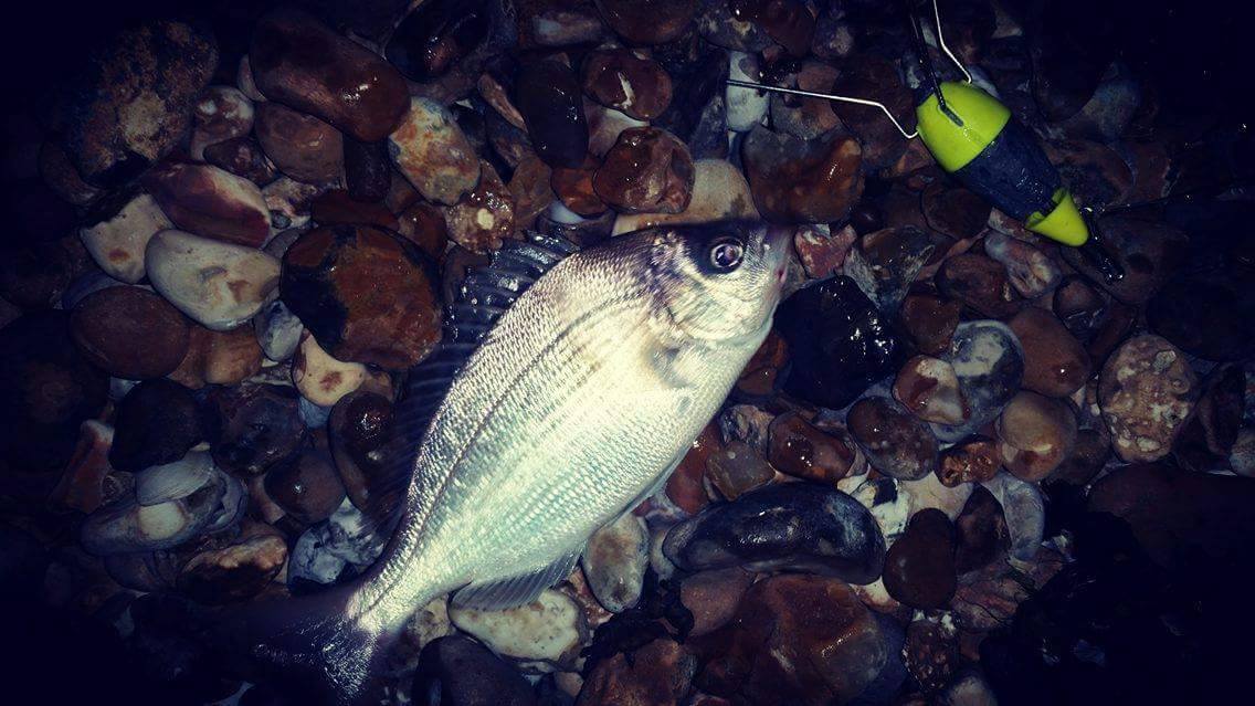 Fish Hooked Beach Fishing, Hayling Island