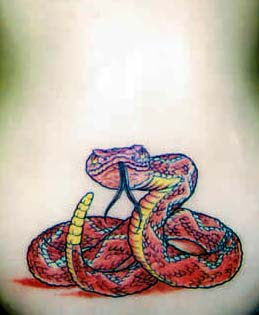 3D Snakes Tattoo on Lower Back