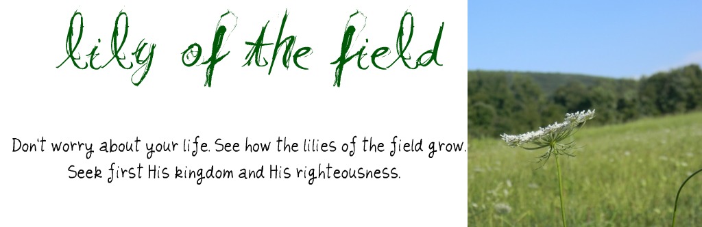 Lily of the Field