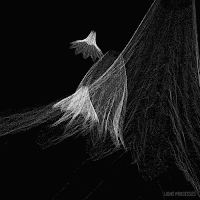 Light%2BProcesses%2B02.gif