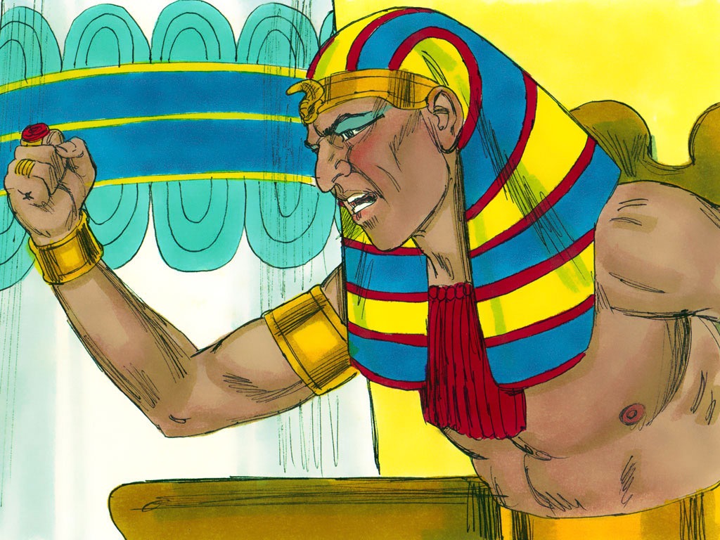 A Pharaoh S End Sackler Cake A Pharaoh S End Sackler Cake