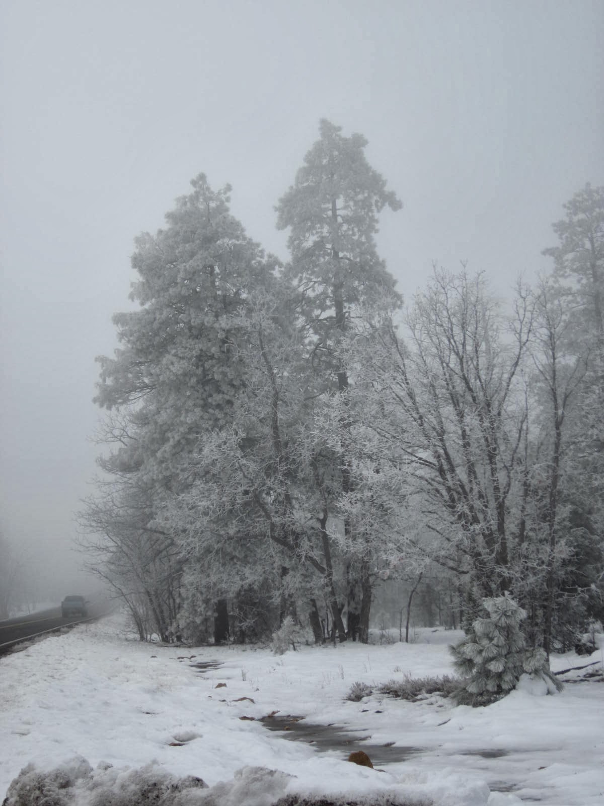 MADWEATHER A Strange Trip To Winslow