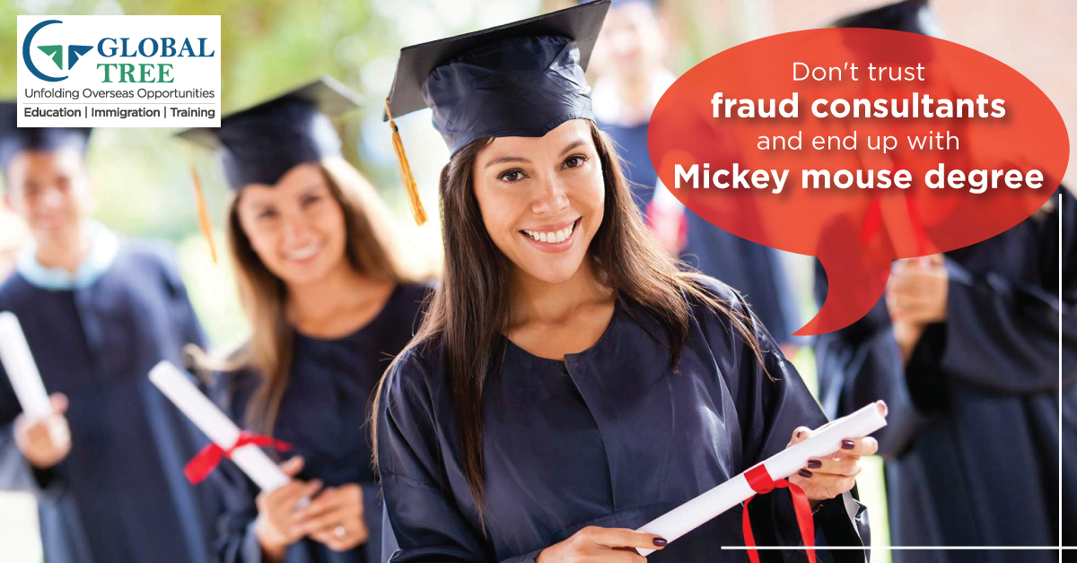 Global Tree Reviews, Student and Customer Feedback