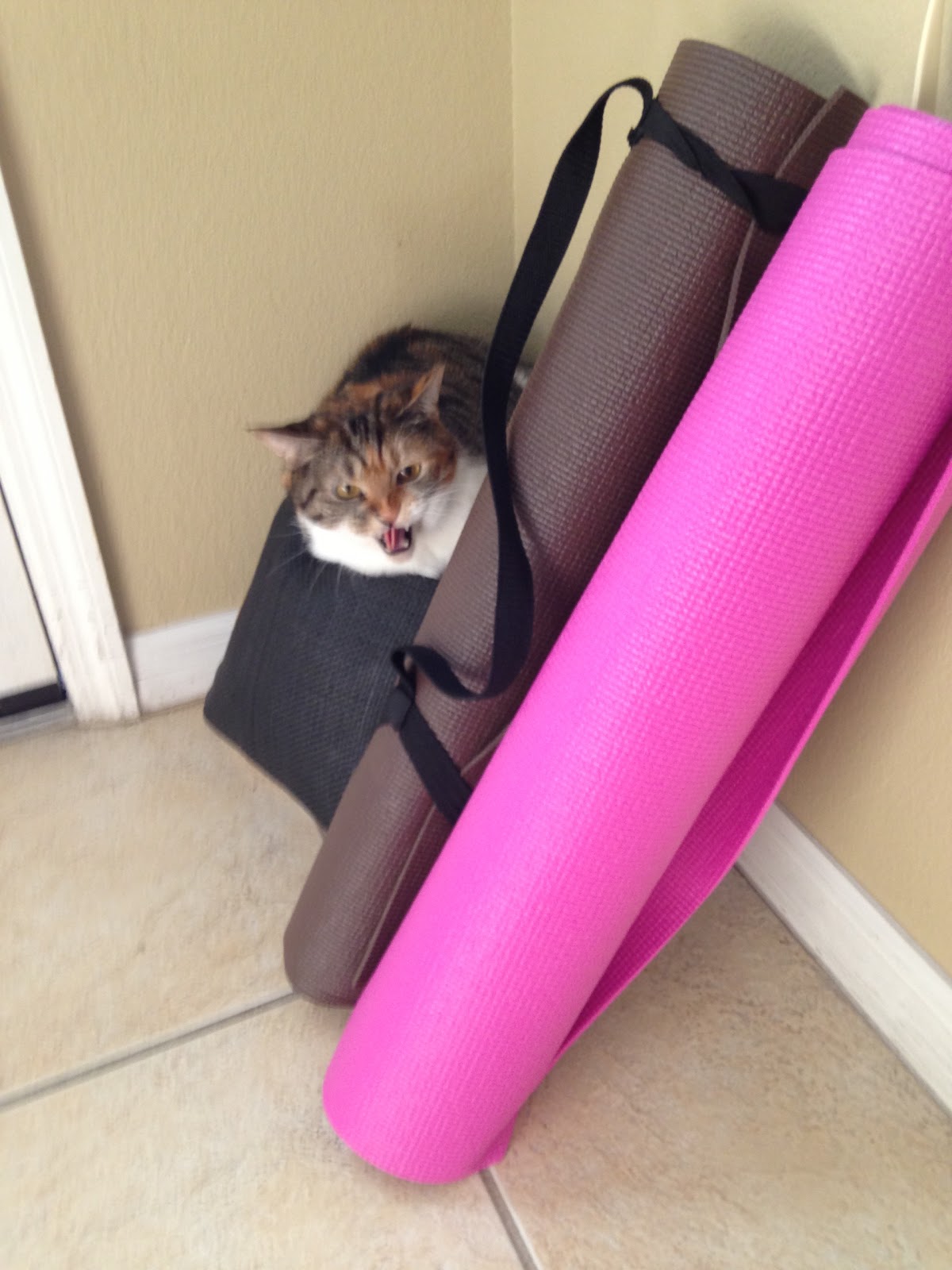 The Lowell Family The "Cat" pose