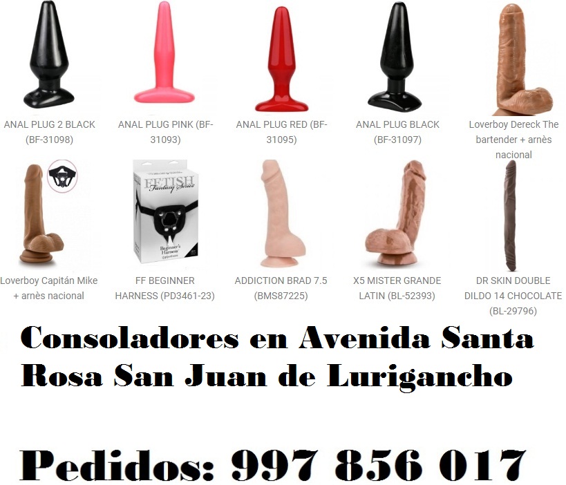 en Avenida Santa Rosa San Juan de Lurigancho