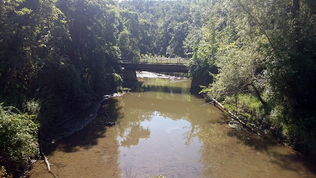 A concrete bridge spanning a shallow, murky, green-brown stream that reflects the surrounding summer foliage.