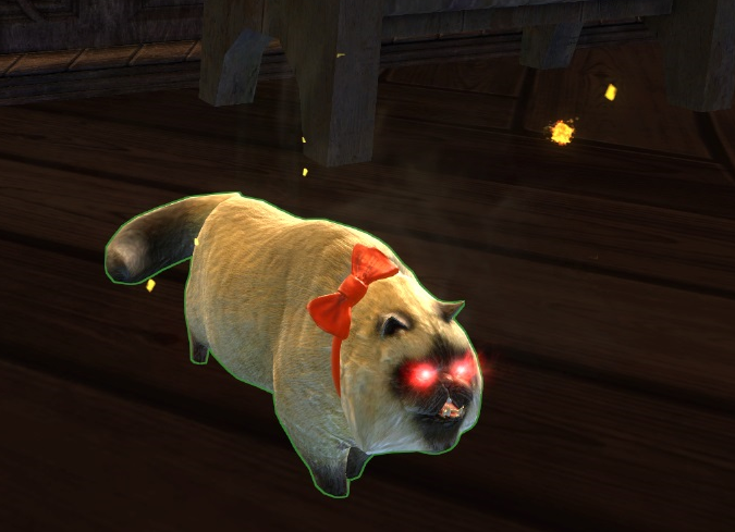 Caudecus S Cat Caudecus S Cat