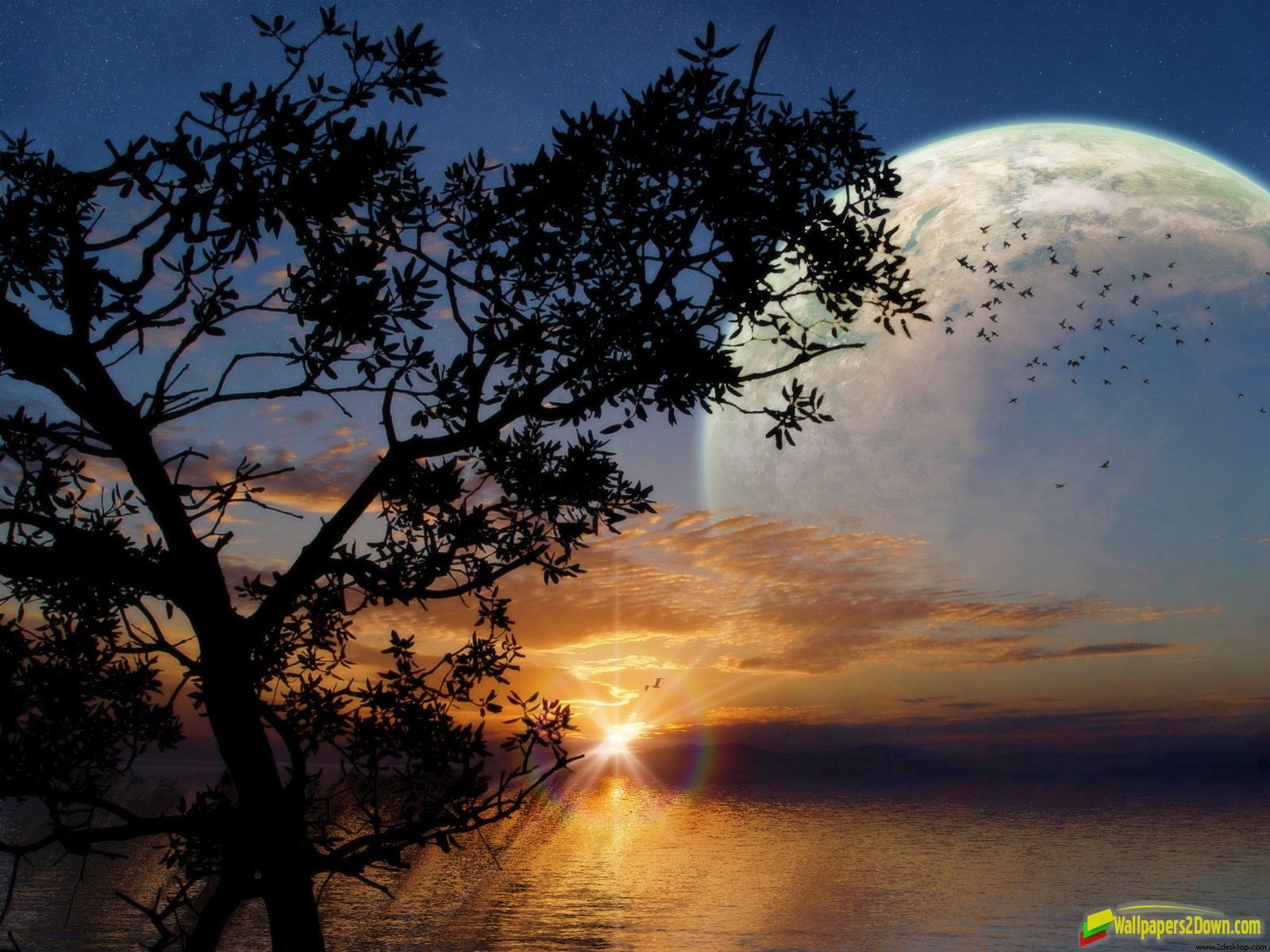 image wallpapers wallpapers