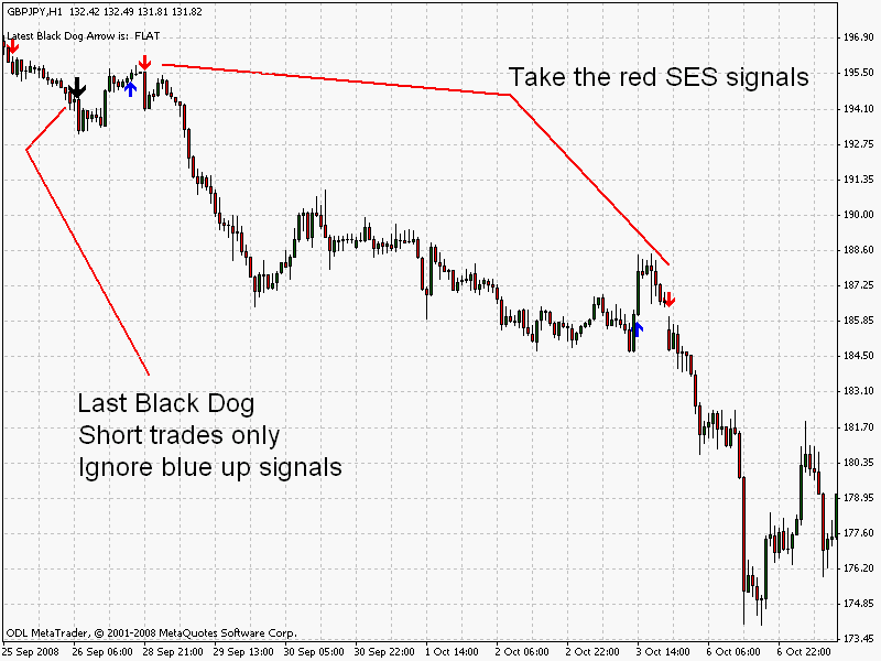 Black dog forex trading system download