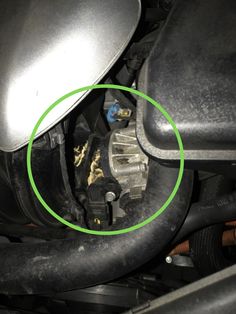 MEC&F Expert Engineers : RODENTS EAT THE SOY-WIRES OF VEHICLES: car