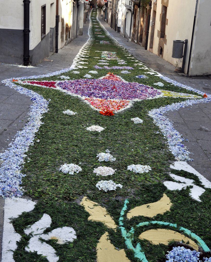 cofrades-de-viveiro-fotos-de-las-alfombras-florales-de-la-procesi-n