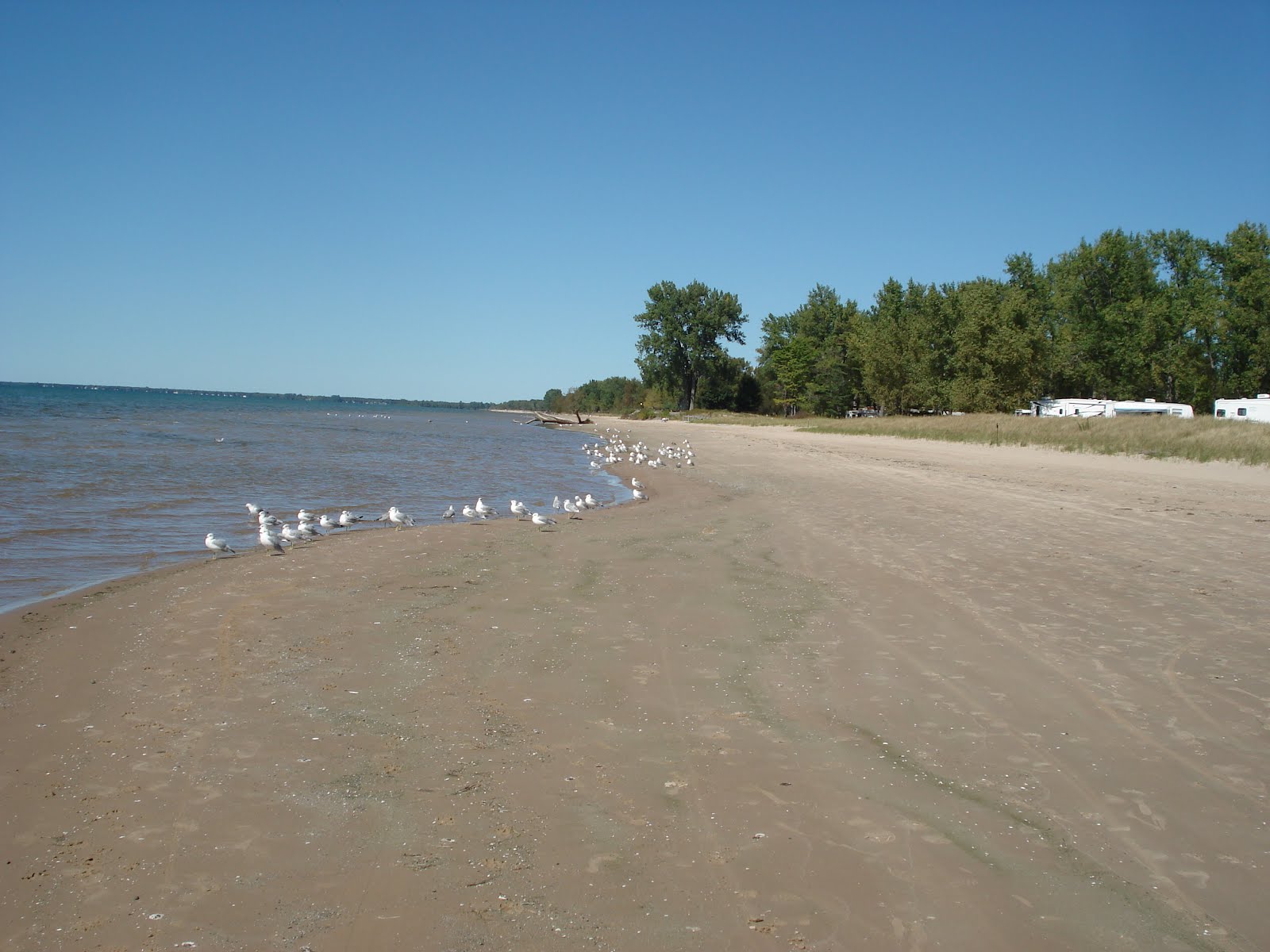 Where's The Wally Wagon Southwick Beach State Park (Fall visit)