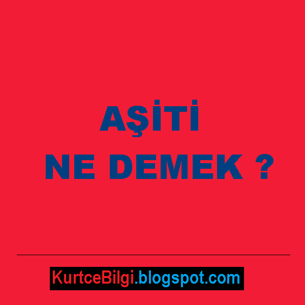 Kurtce Turkce Cumle Cevir