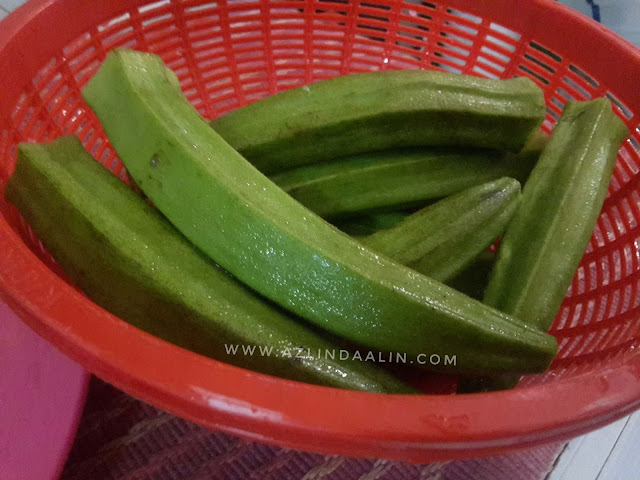 ASAM PEDAS IKAN TENGGIRI RESEPI DERHAKA ASAM PEDAS IKAN TENGGIRI RESEPI DERHAKA