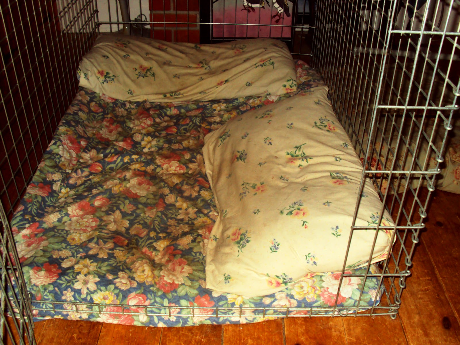 Ottawa Valley Dog Whisperer COMFORTABLE DOG BEDS