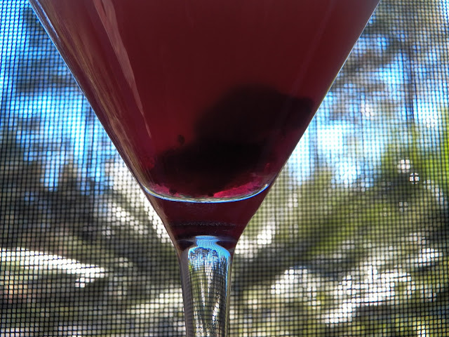 Cranberry Blush Cocktail