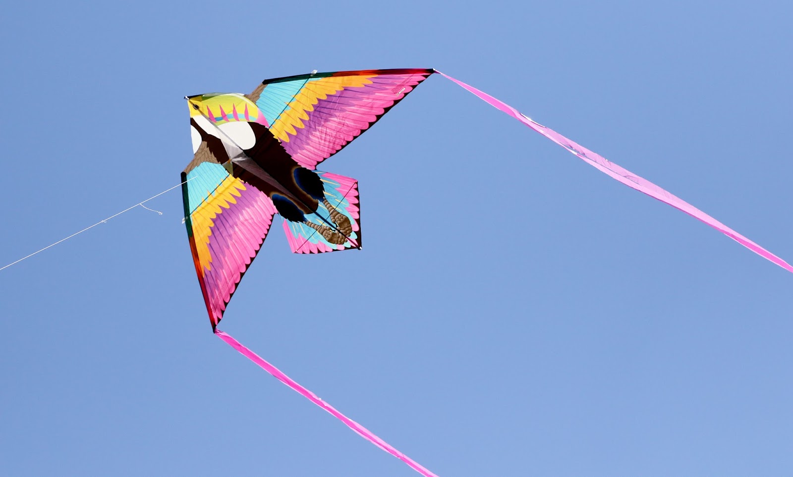 Mark Kodiak Ukena Chicago Botanical Garden Kite Festival