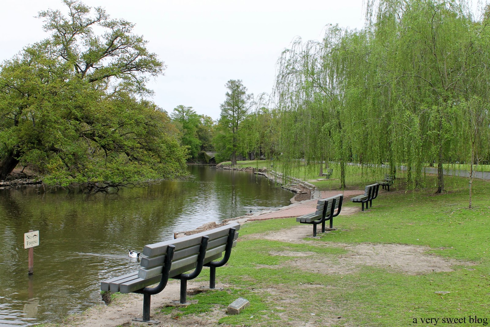 A Walk In Audubon Park A Very Sweet Blog
