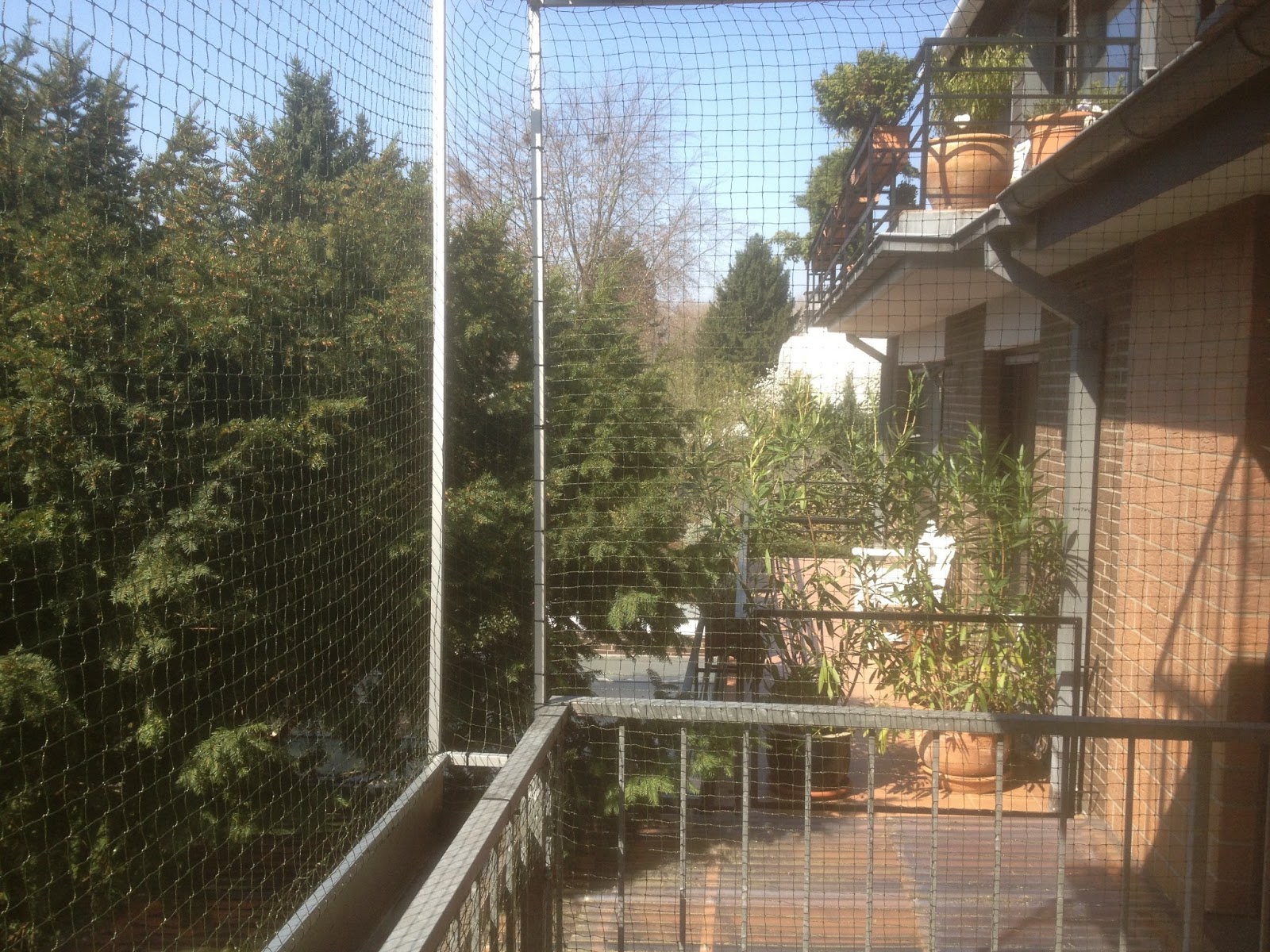 Katzennetz NRW die Adresse für ein Katzennetz: Katzennetz für Balkon in