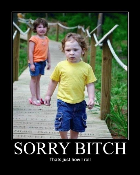 sorry+bitch%252C+thats+just+how+i+roll.jpg