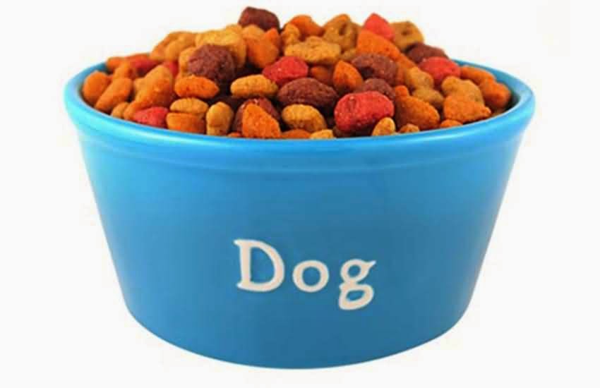 Walmart Dog Food Diet Story Walmart Dog Food Diet Story