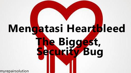 Heartbleed security bug