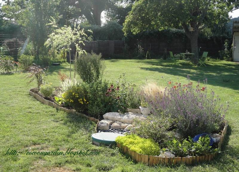Cocoon Garden: Grand massif, petit saule crevette installé