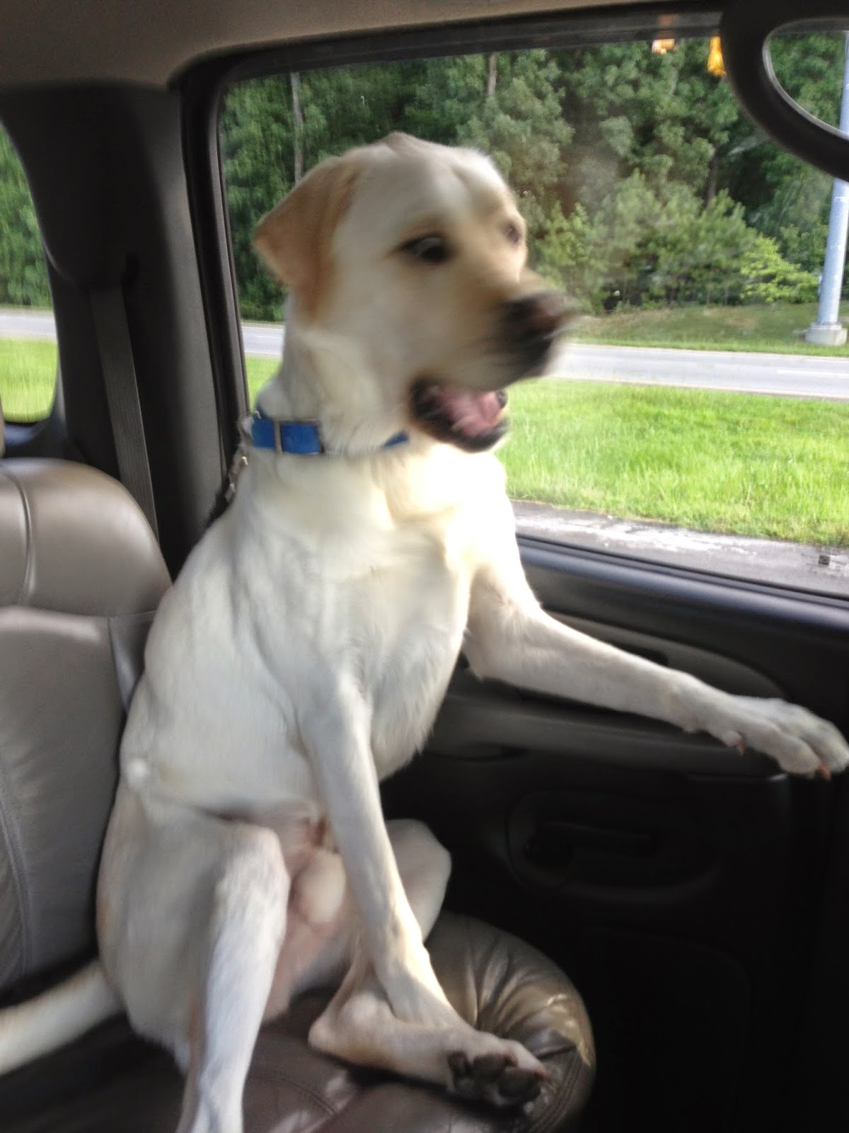 For Life’s Little Discomforts…