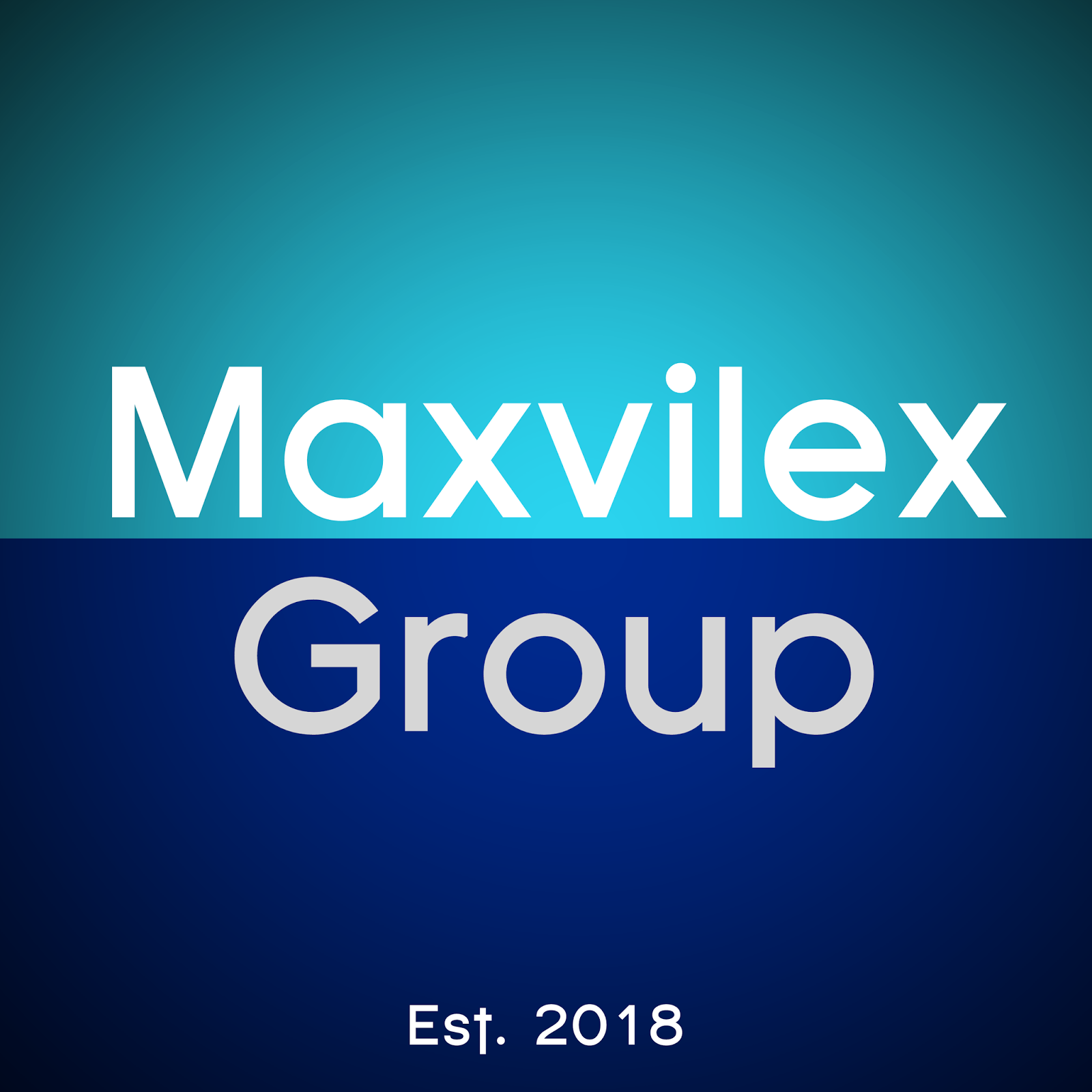 Maxvilex Group