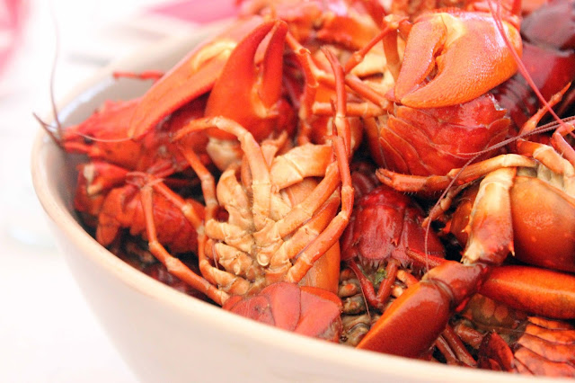 siglinchen: das traditionelle flusskrebse-essen in schweden siglinchen: das traditionelle flusskrebse-essen in schweden