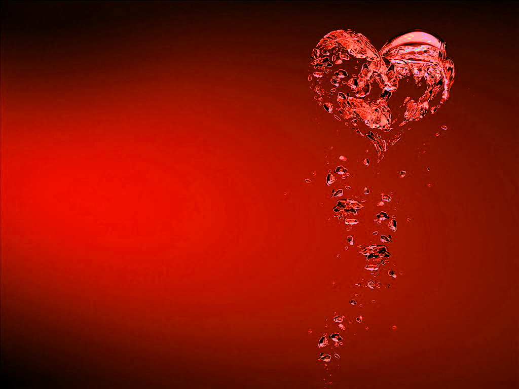 Sebuah Kisah Tentang Ujian Kesabaran | Meraih Ilmu Syar'i