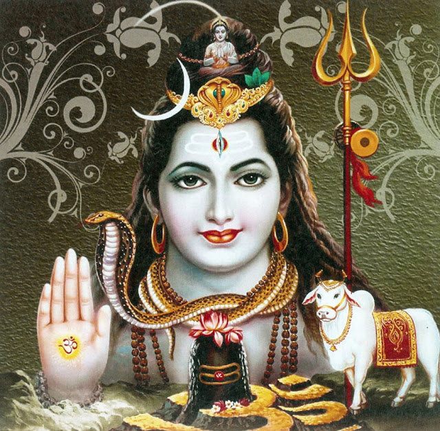 Shiva’s snake is known as “Vasuki”