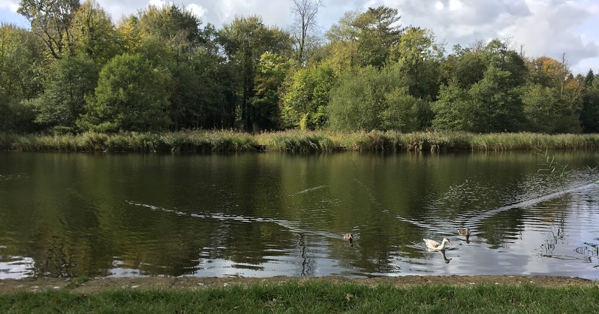 Stanton Park Swindon Map Things That Make Me Go Aagghh!: A (Dog) Walk In The Park - Stanton Park