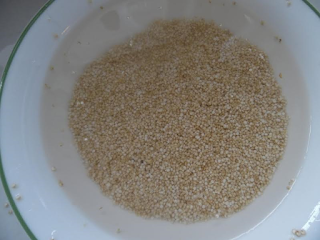 Photo of quinoa after rinsing