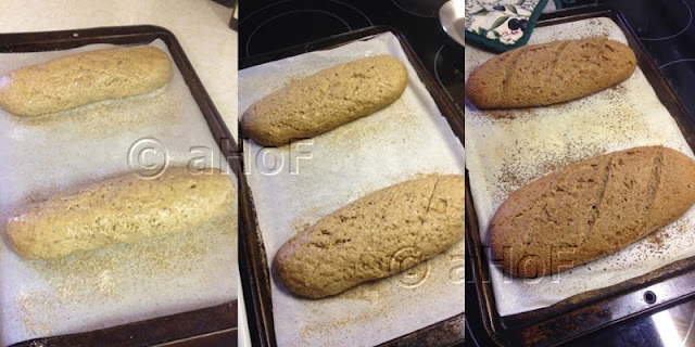 sourdough bread, starter, rye bread, no yeast