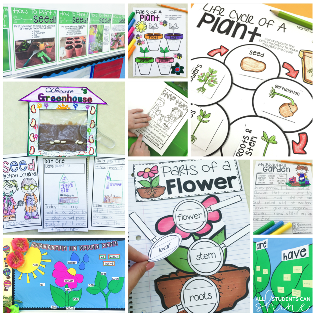 plant activities