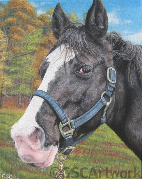 whiskey tennessee walking horse farm animal acrylic painting art