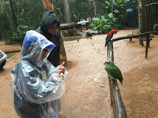 Parque_aves_Foz_iguacu