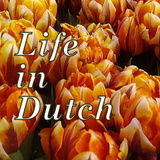 Life in Dutch