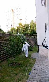 Istanbul Ilaclama Hizmetleri