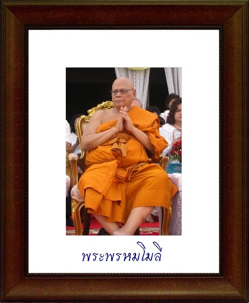My Image 49