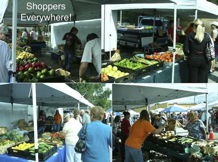 Beasley Farm of Brooksville Hernando County Farmers Market