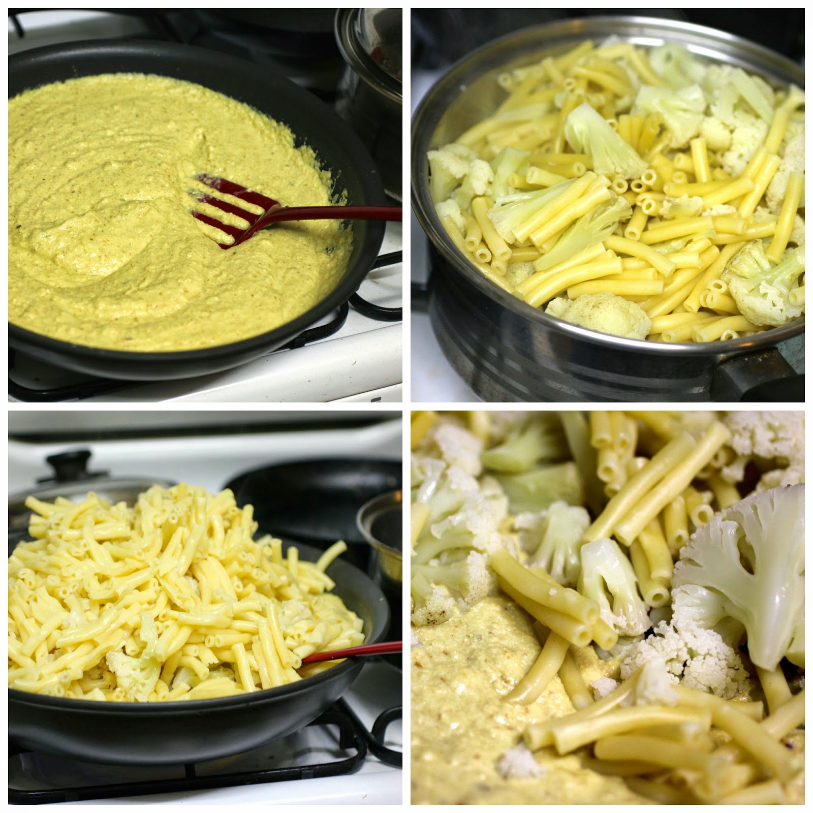 Green Gourmet Giraffe Vegan macaroni cheese with sauerkraut