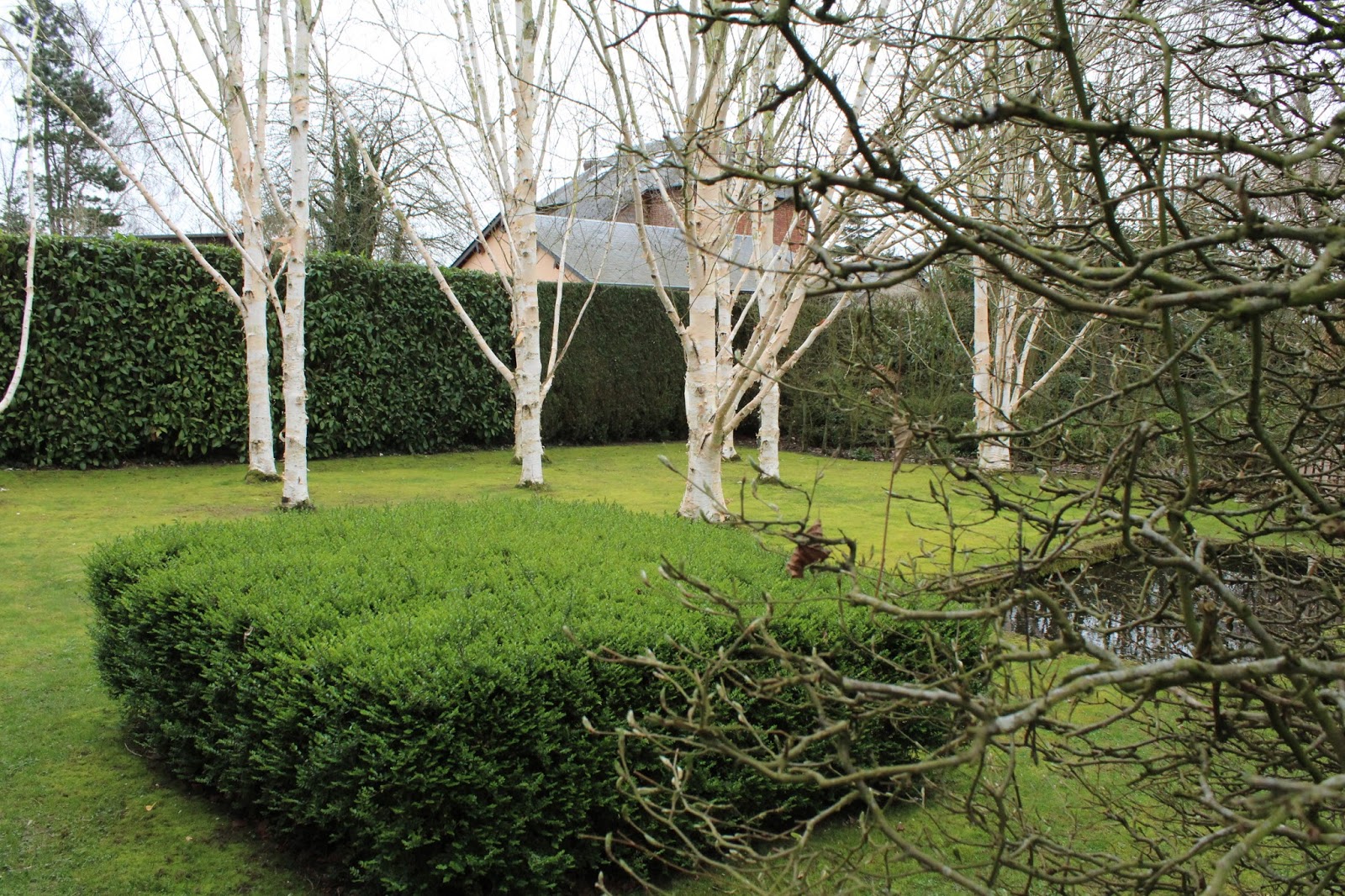 Carnet De Balades Dans L Orne En Normandie La Mare Aux Trembles