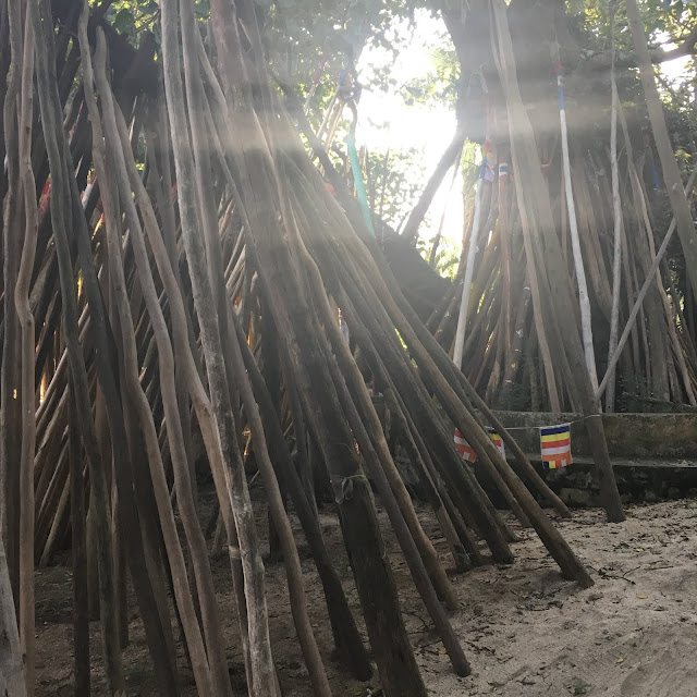 Bamboo sticks at Wat Phra That
