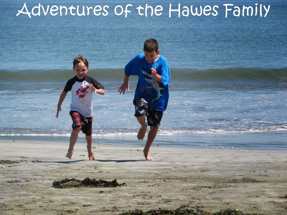 Adventures of The Hawes Family