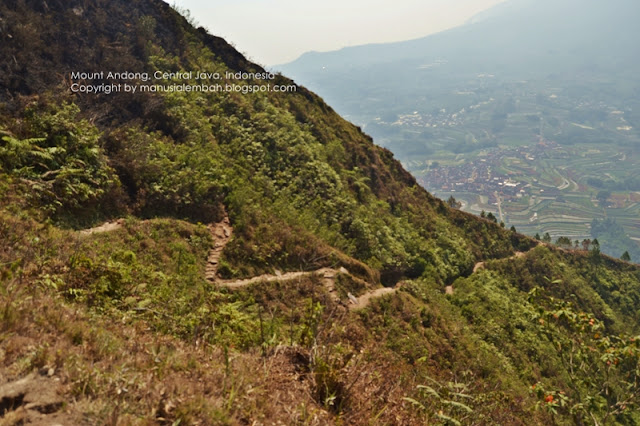 Pendakian Gunung Andong via Dusun Sawit