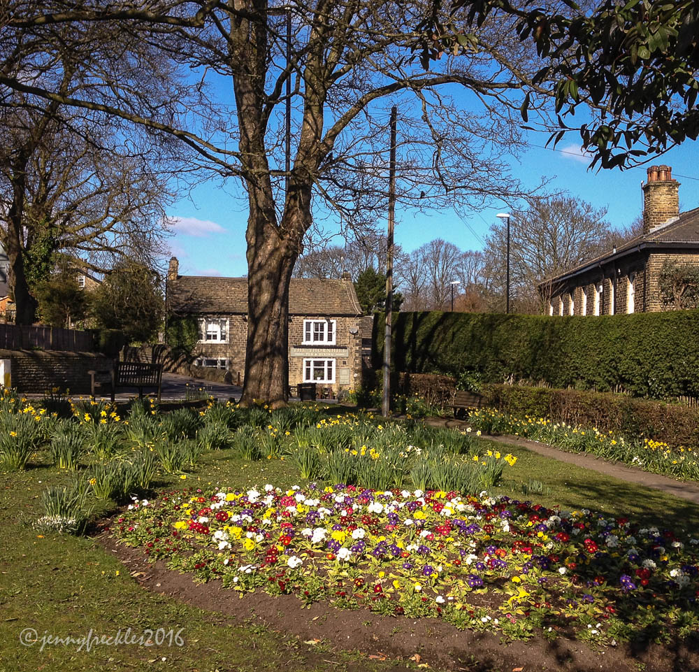 Saltaire Daily Photo Calverley walk 1