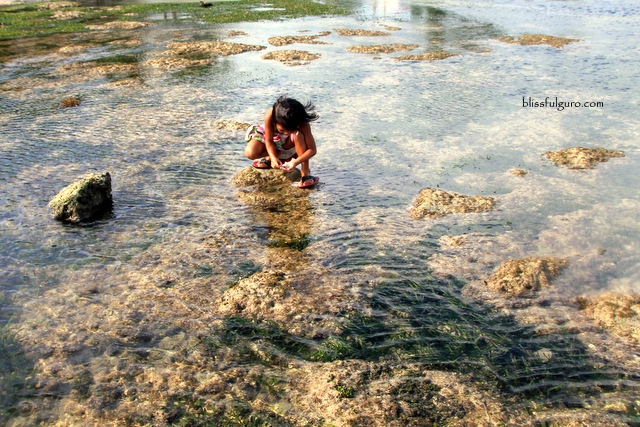 Tambobong Beach Dasol Pangasinan Blog